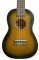 Truwer UK 220 24 OV - koncertní ukulele hnědý burst